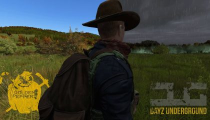 Called Home – DayzUnderground